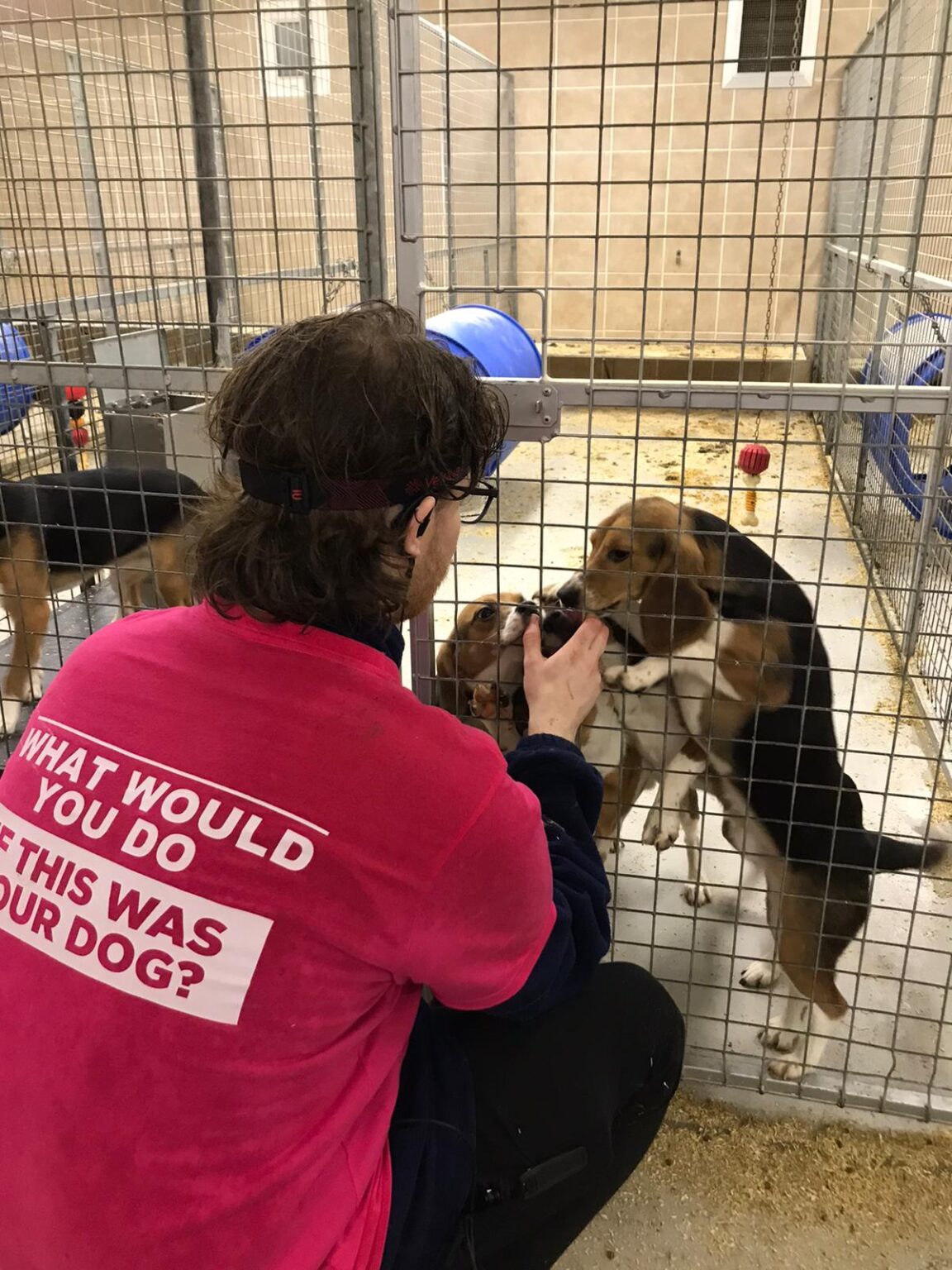 blood-on-your-hands-police-return-rescued-puppies-to-animal-testing