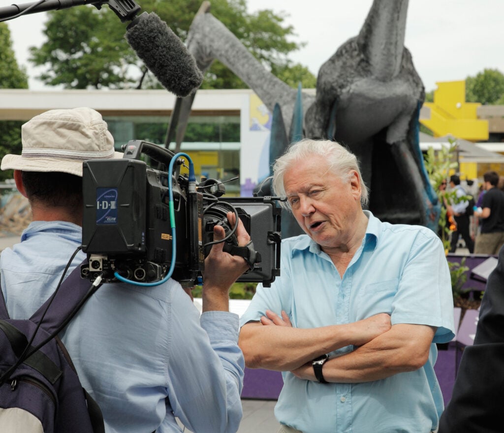 David Attenborough who does not eat a vegan diet speaking to camera on a documentary