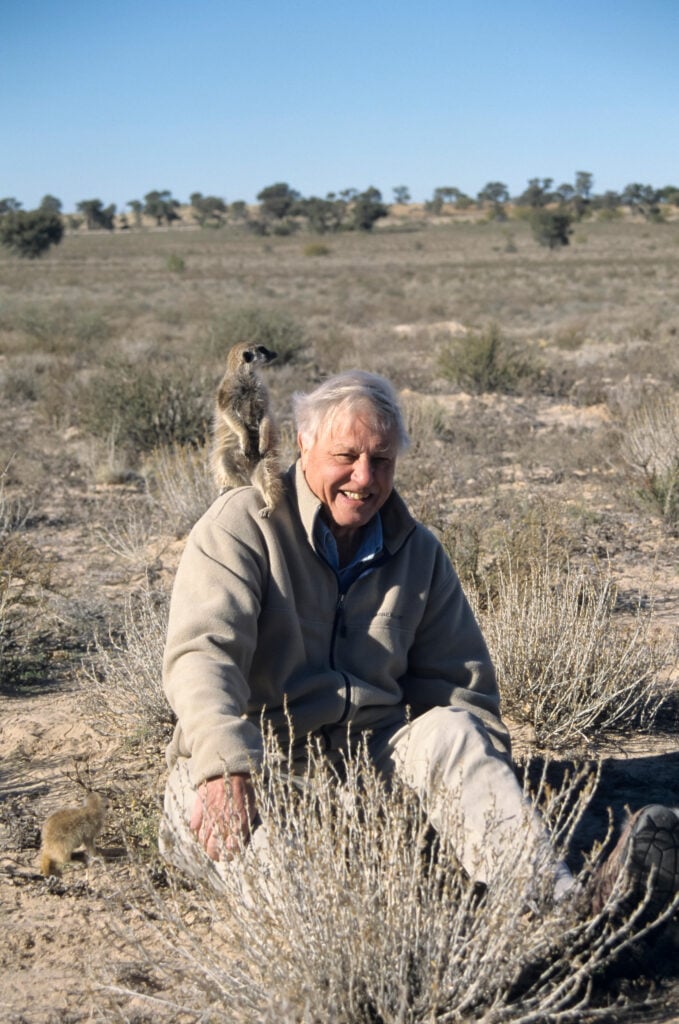 David Attenborough, who includes some meat in his diet, on the set of one of his wildlife documentaries