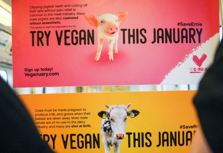Veganuary adverts depicting a cow and a pig