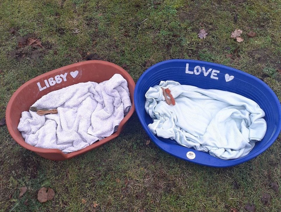 Two empty dog beds for beagle puppies Libby and Love who were almost rescued