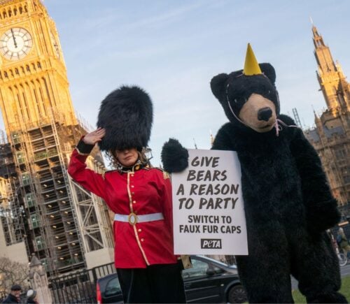 PETA protesters urging to UK government to ditch bearskin caps for the King's Guard