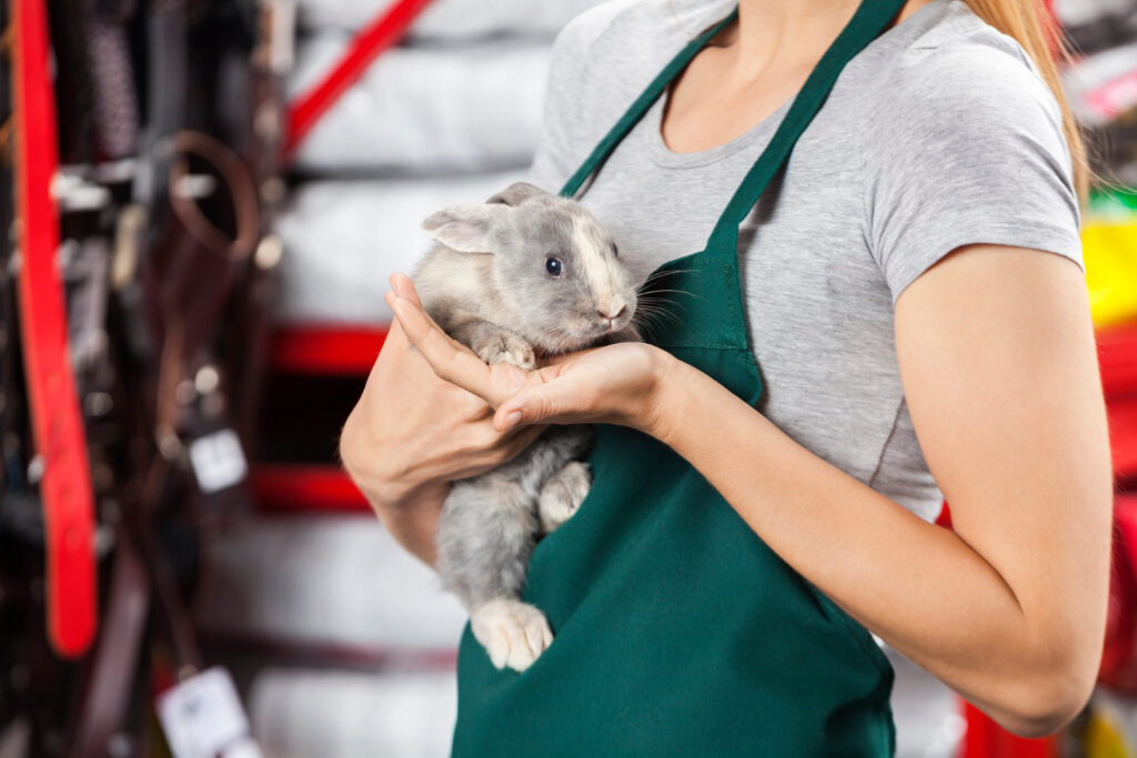 A woman holding a rabbit in a pet store