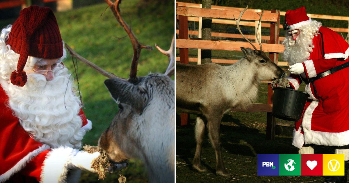 Santa Goes Vegan, Retires Reindeer To 'Make The World A Kinder Place'