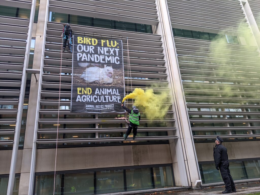 Animal Justice Project activists scale Defra building