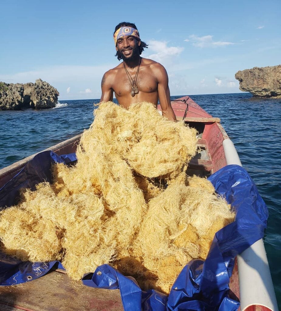 A man sitting in a boat on the ocean with freshly harvested vegan-friendly sea moss