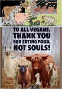 Animals, thank you vegans food not souls.jpg