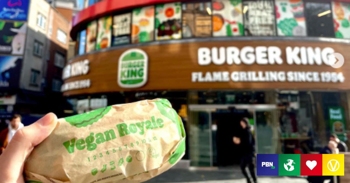 What’s Vegan At Burger King UK? All The PlantBased Menu Options TrendRadars