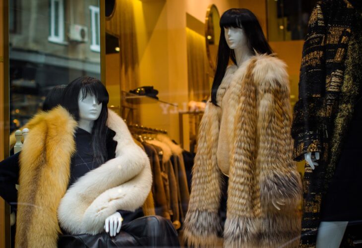 Two mannequins wearing fur coats in a shop window. Fur now cannot be sold in California