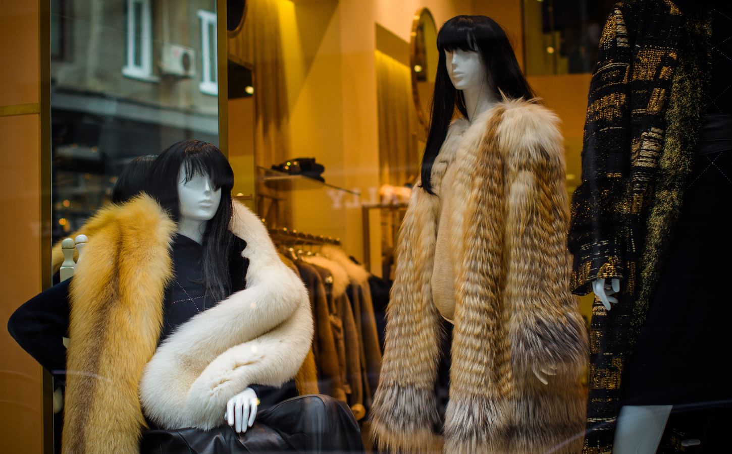 Two mannequins wearing fur coats in a shop window. Fur now cannot be sold in California