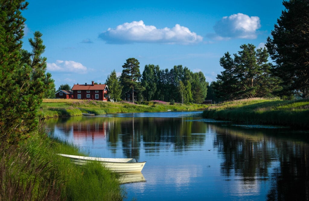 Many of Sweden's wolves live in Dalarna, a popular holiday destination