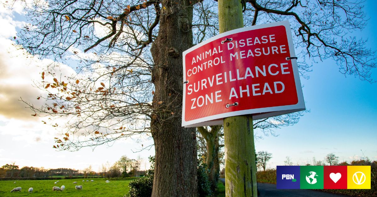 Bird Flu Is Spreading To Wild Mammals In The UK, Health Agency Confirms