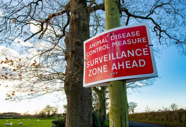 A UK bird flu sign reading "animal disease control measure surveillance zone ahead"