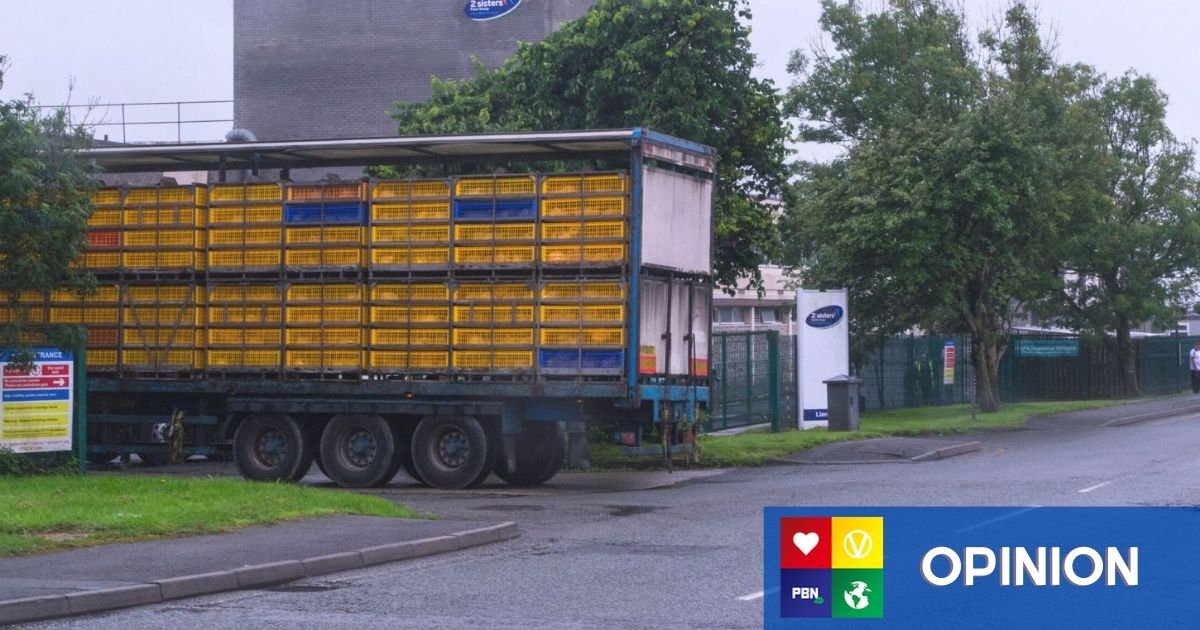 Curated visual reference: Fresh Look at Major Uk Chicken Producer Announces Closure Of Troubled Welsh Abattoir