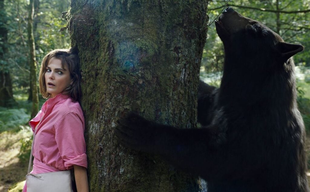 A still from the film 'Cocaine Bear', based on a true story of an animal taking drugs