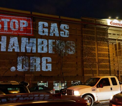 Animal activists protested outside a Costco store in San Francisco