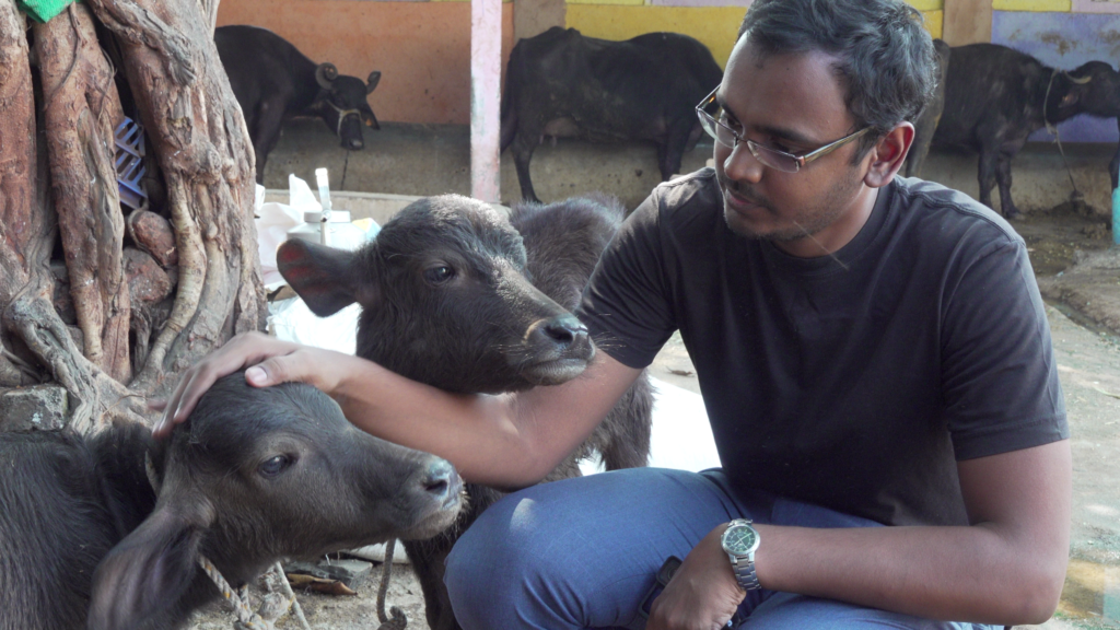 Dr Atmakrui investigated India's dairy industry in vegan film Maa Ka Doodh 