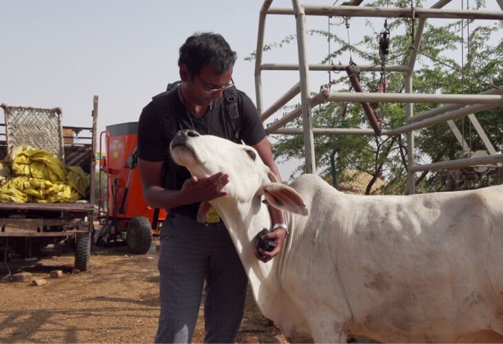 Dr Harsha Atmakuri, the maker of vegan film Maa Ka Doodh, with a dairy cow