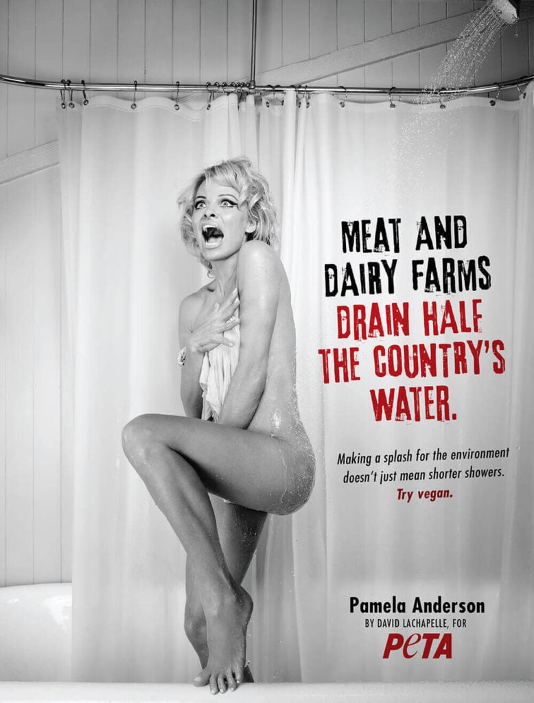 Vegetarian actor Pamela Anderson poses naked for PETA