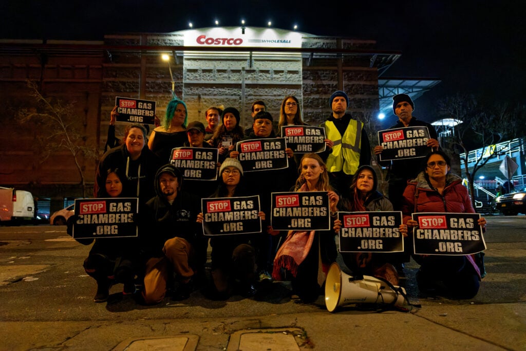 Activists from Direct Action Everywhere gather outside Costco to show pig gassing footage