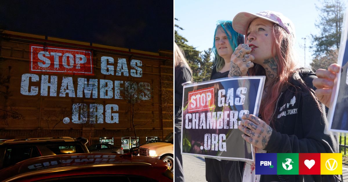 Costco Hits Back At Activists Who Projected Slaughterhouse Footage Onto