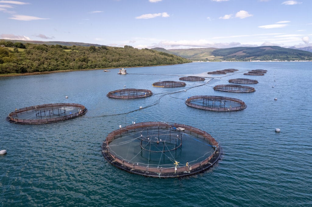 Salmon farms in Scotland