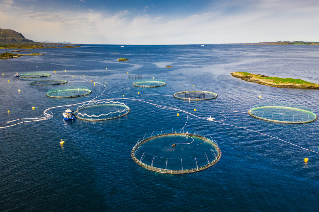 Salmon farming nets spread out in the ocean