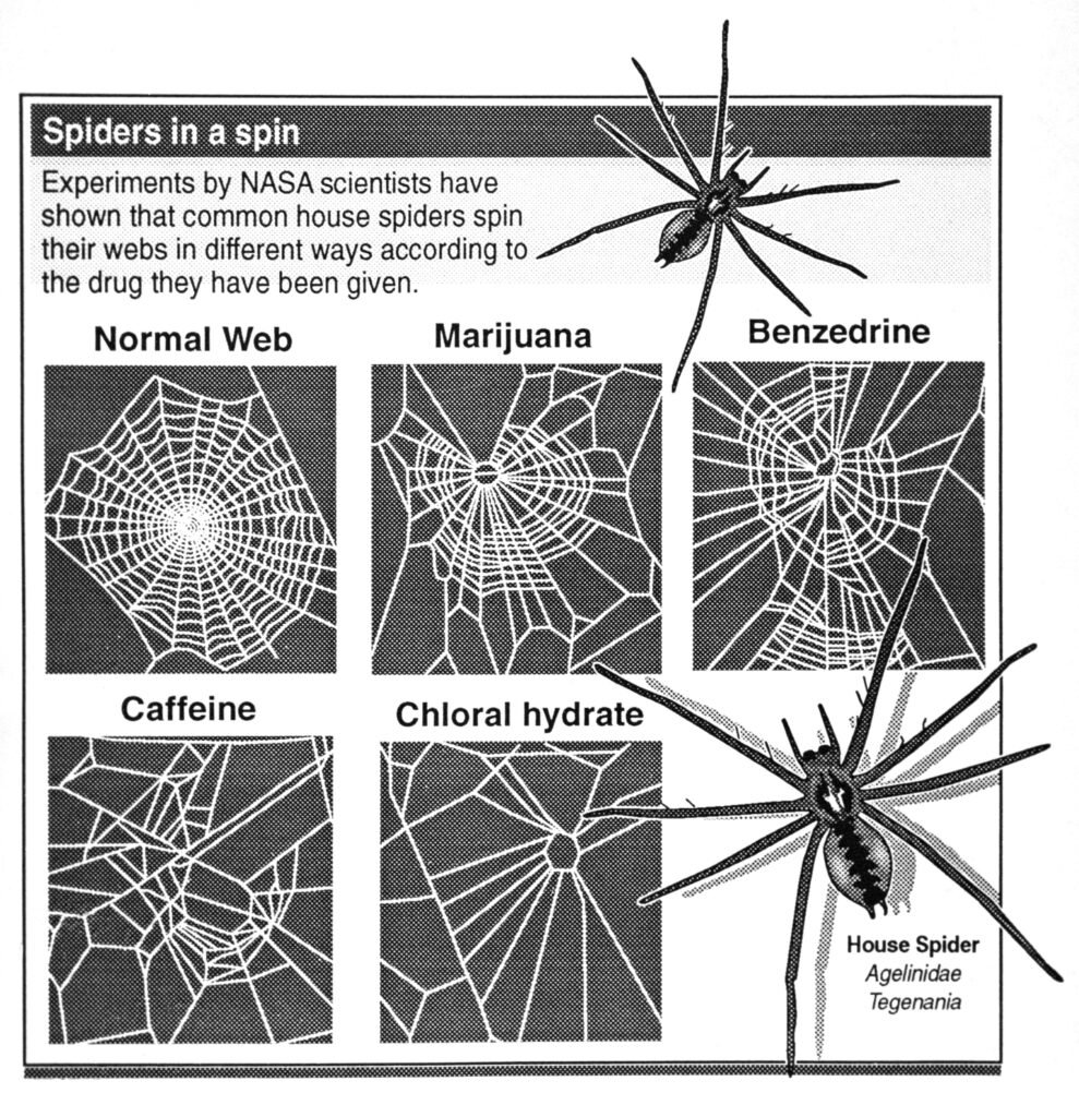 Spiders were given a variety of drugs to test the effect on their web-making 