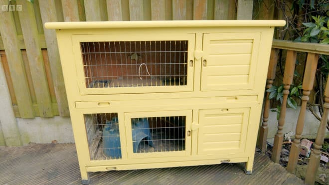 Stacey Solomon's show was hit with Ofcom complains after her rabbits were moved to an outside hutch