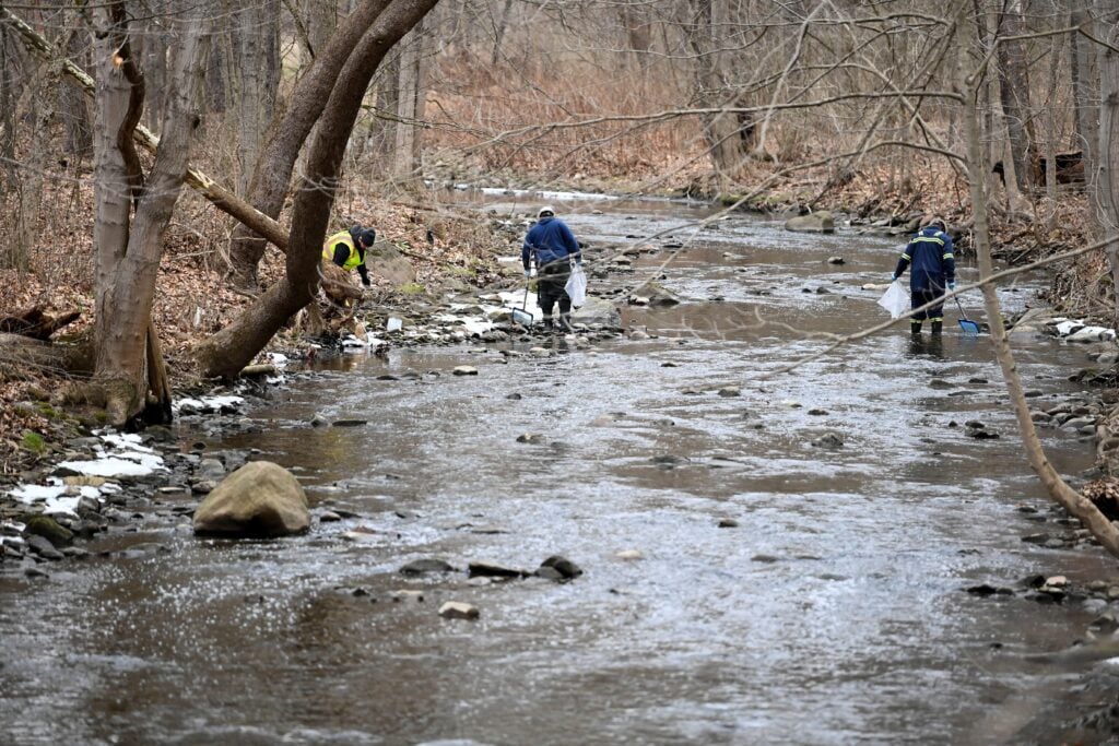 An environmental company removes dead fish from a river following the East Palestine train derailment