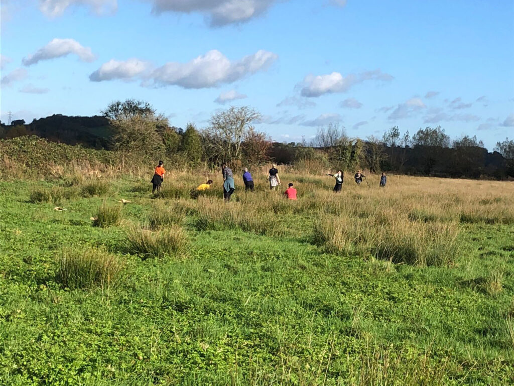 The Vegan Land Movement rewilding farmland