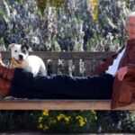 Late entertainer Paul O'Grady reclining on a wooden bench with a Staffordshire Bull Terrier for company