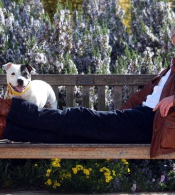 Late entertainer Paul O'Grady reclining on a wooden bench with a Staffordshire Bull Terrier for company