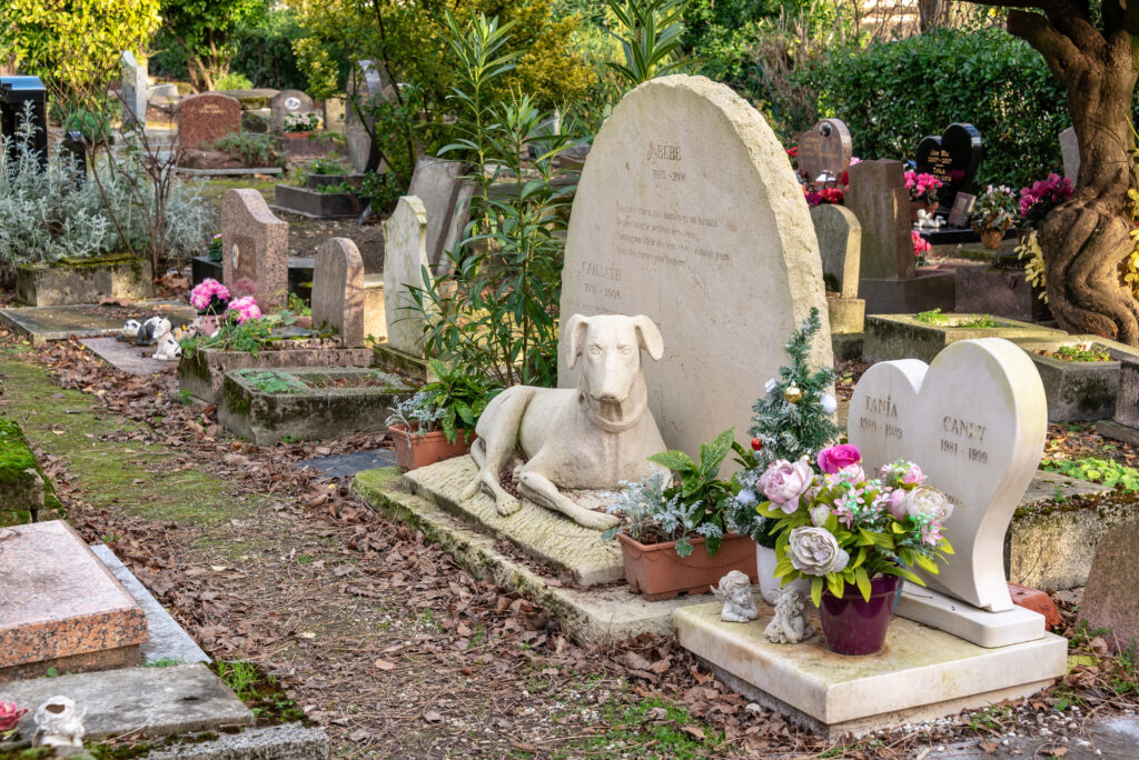 A dog tombstone in a pet cemetery, a concept that is on its way to Barcelona, Spain