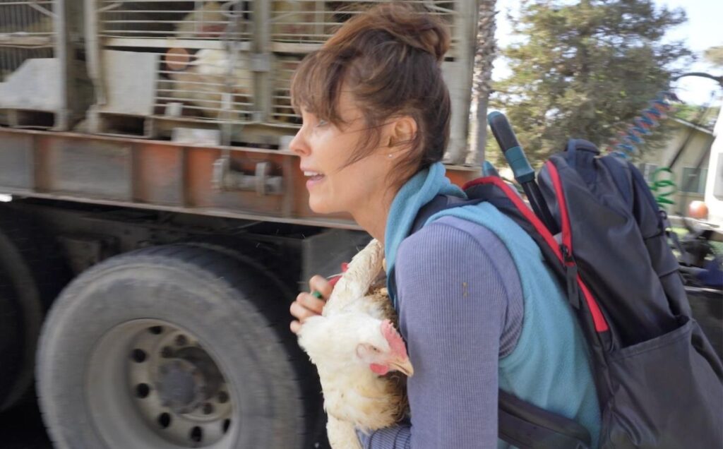 Baywatch star Alexandra Paul rescued a chicken destined for slaughter at a Foster Farms abattoir