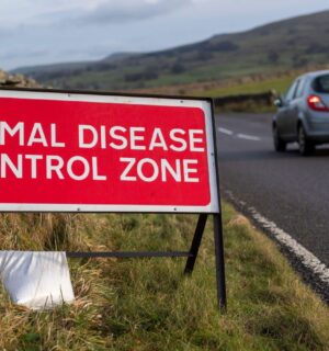 A sign reading "animal disease control zone" by the side of a road in the UK