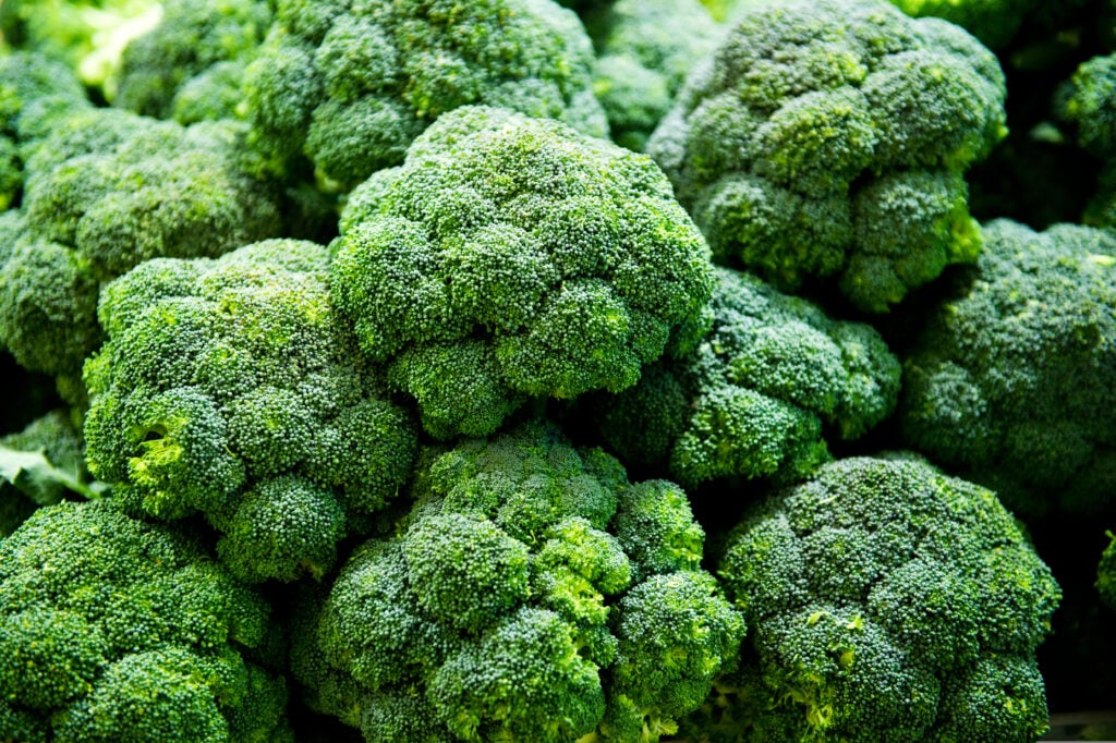 The vegetable broccoli is an example of a high-protein food