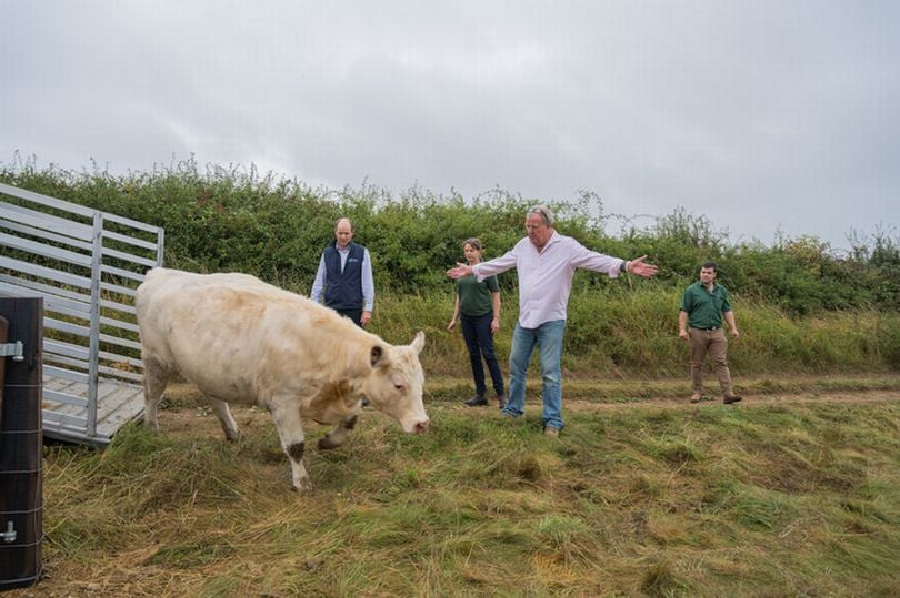A screengrab from Clarkson's Farm showing a cow walking off a vehicle as Jeremy Clarkson holds up his arms