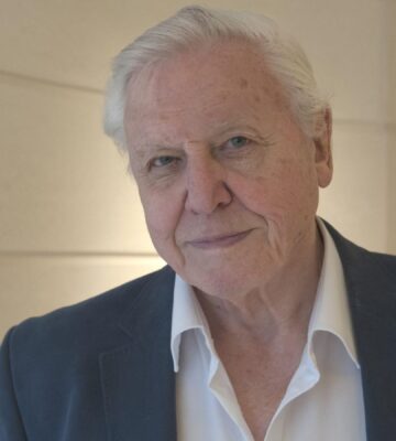 David Attenborough wearing a white shirt and navy jacket looking at the camera