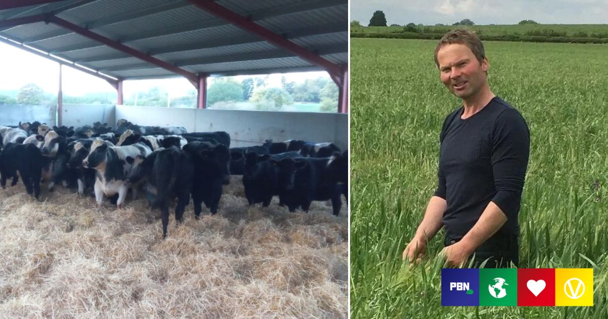 Why This Dorset Dairy Farmer Gave His Cows To A Sanctuary And Turned