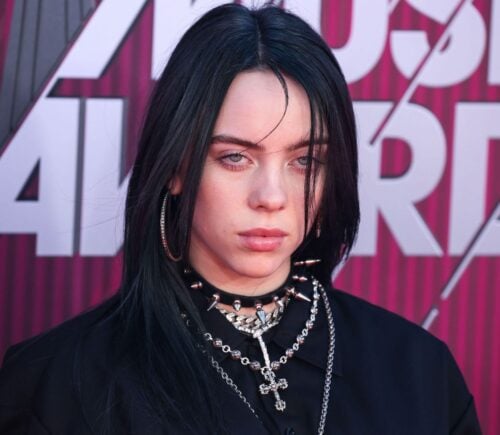 Vegan celebrity, musician, and animal rights advocate Billie Eilish on the red carpet