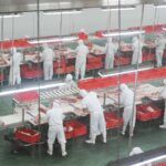Slaughterhouse workers preparing meat