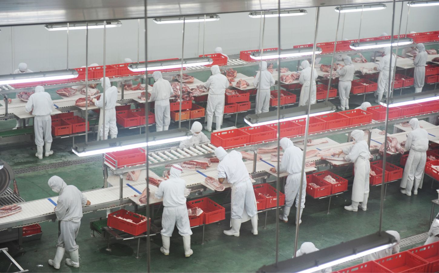 Slaughterhouse workers preparing meat