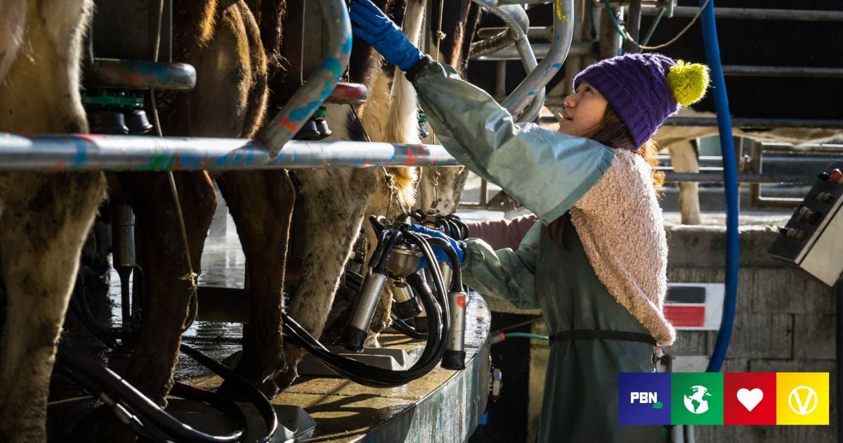 Dairy Farmers Take To TikTok To Dispel Vegan ‘Propaganda’