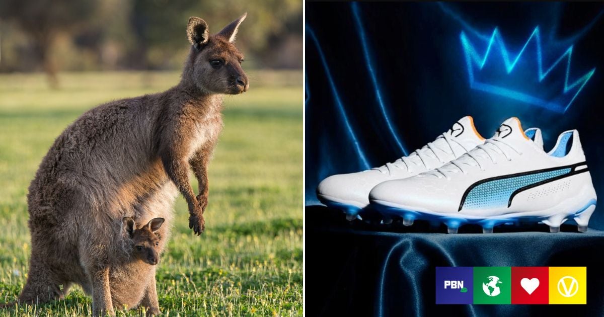Puma Ditches Kangaroo Leather For Better-Performing Vegan Alternative