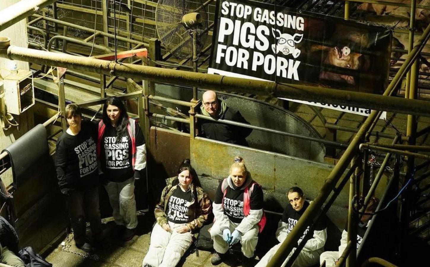 Activists occupying pig gassing machines at a slaughterhouse in Northern Victoria, Australia