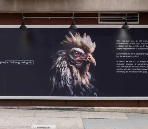 A NotCo billboard depicting an AI-aged chicken and educational text about their natural lifespans