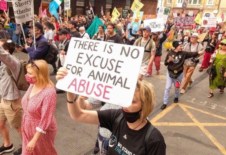 Animal Rebellion activists, now known as Animal Rising, march in London