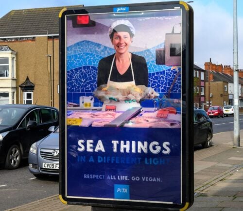 A PETA billboard showing a smiling fishmonger holding a dead fish, which turns into a dead cat