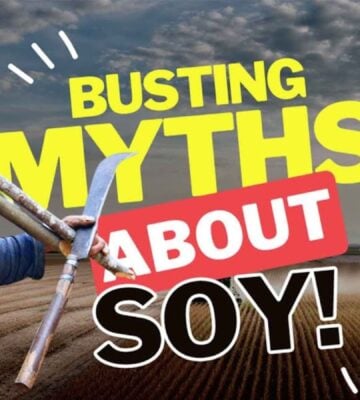 A graphic reading: "Busting myths about soy"